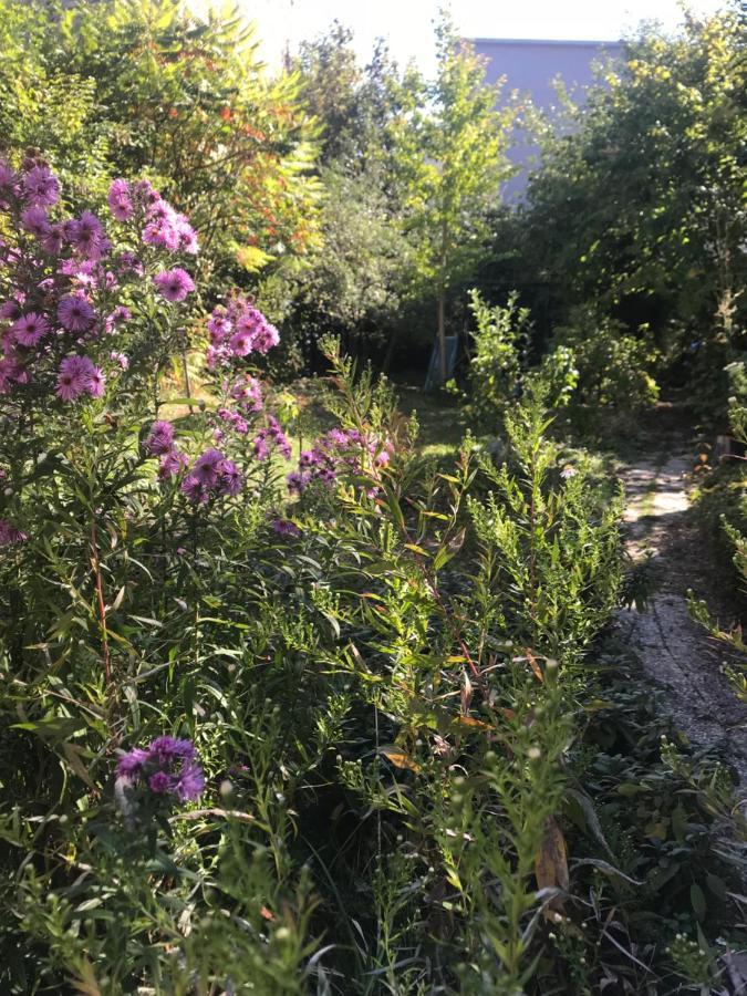 مبيت وإفطار شالو أو شُمْبانيِ Un Jardin Dans La Ville المظهر الخارجي الصورة